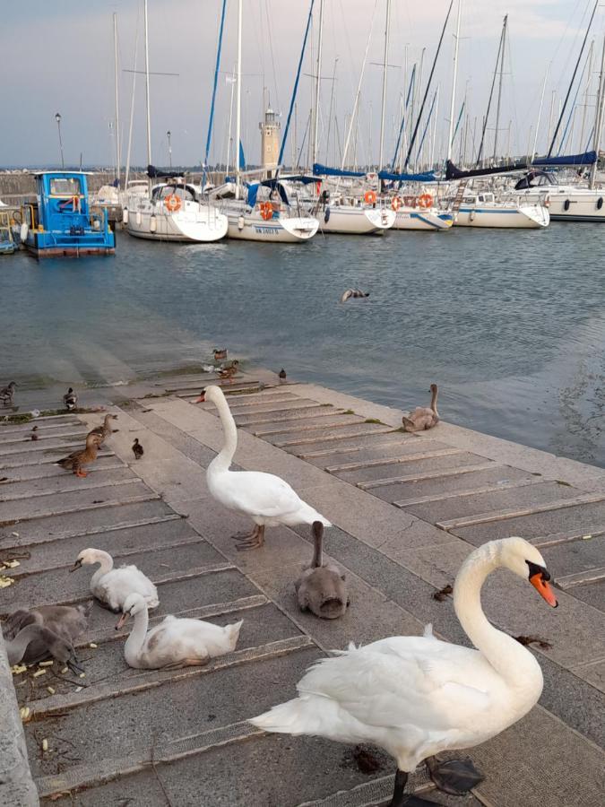 Villa Elisa Lago E Monti Carzago Riviera Luaran gambar